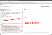 WAF分类及绕过思路-seo优化_前端开发_渗透技术