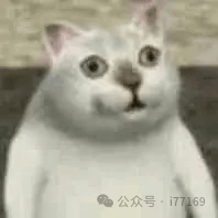 AI代码审计实战-seo优化_前端开发_渗透技术