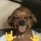 图23–某次SQL注入绕WAF的经历–seo优化_前端开发_渗透技术